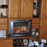 Anika, fernsehen
